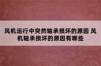 风机运行中突然轴承损坏的原因 风机轴承损坏的原因有哪些